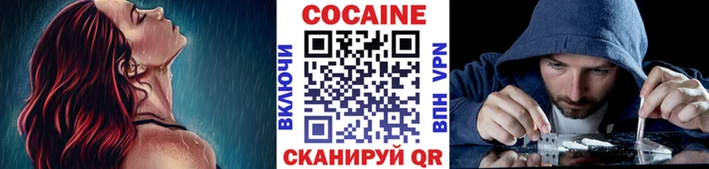 COCAIN Columbia  Нюрба 