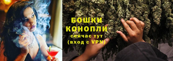 МДПВ Снежногорск