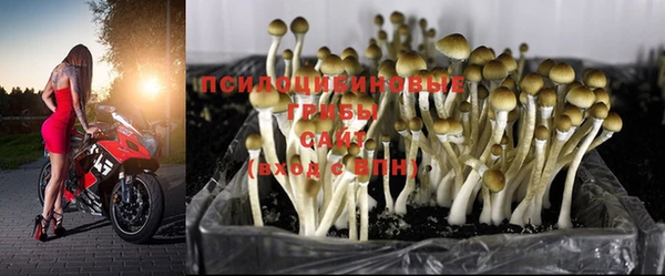 герыч Слюдянка